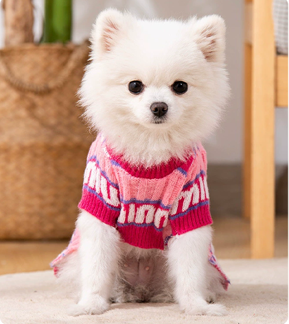 Ropa para perros y gatos